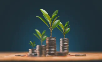 Image of growing wealth