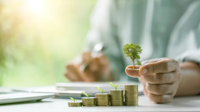 Growing your money